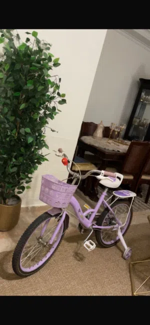 بسكليت جنط 20سبه جديد