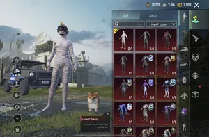 Pubg Accounts and Characters for Sale in Ma'an
