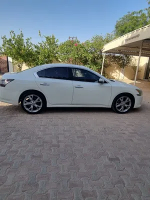 Used Nissan Maxima in Muscat