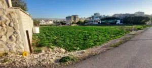 Residential Land for Sale in Ramtha Romtha