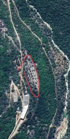 Farm . 3600 m2 . Agent2