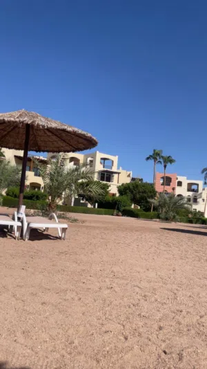 عبود 