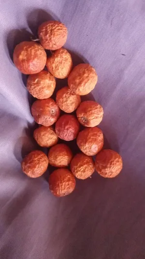 Others - Food - Supplements0