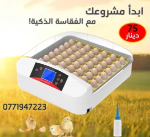 فقاسة اوتوماتيك 56 بيضة نوع ممتاز