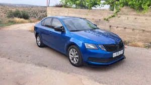 Used Skoda Octavia in Nablus