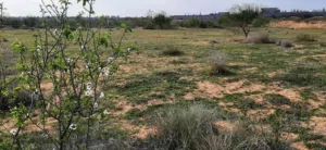 Farm Land for Sale in Tripoli Tajura