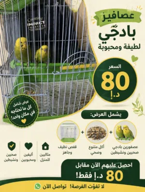 عصافير بادجي