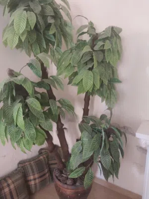 شجره اصطناعية للبيع