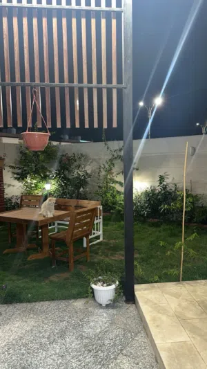 مع المطبخ تركي وباب