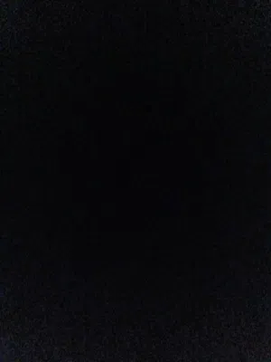 بلابل اليفه اعمار شهر
