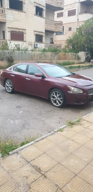 Nissan . Maxima . 2011 . Used4