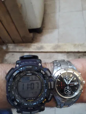 Analog Quartz Citizen watches for sale in Amman