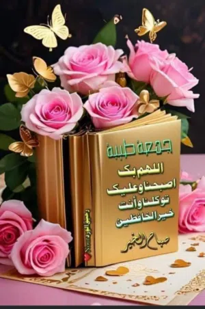 FADY EL HOSEINY 