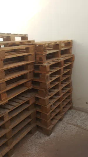 بدنات لوح اوروبية€
