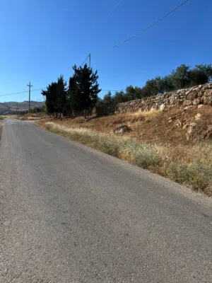 Mixed Use Land for Sale in Jerash Unaybah