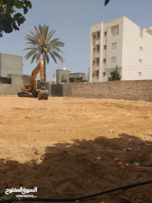 ارض للايجار او الاستتمار