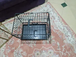 بوكس حديد قطط للبيع