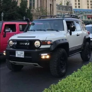 الضخم المحجوب