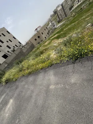 Residential Land for Sale in Amman Tabarboor