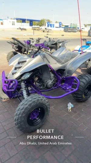 Yamaha raptor 660cc year 2005