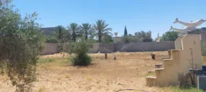2 قطعة ارض للبيع القرقني