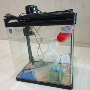 Full Fish Tank for Sale – Complete Setup