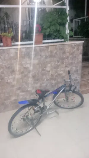 بسكليت مستعمل بجنن للبيع