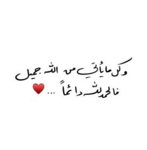 حمود آبو أمير 