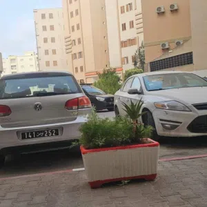 عبدو 