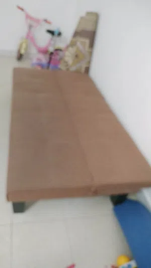 Sofa cum bed 10 ro