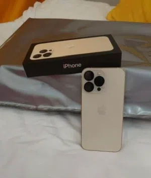 iPhone 13 Pro.  1TB