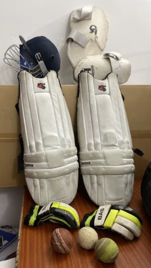 2 seasonal bat, balls, helmet, bag, pads, gloves