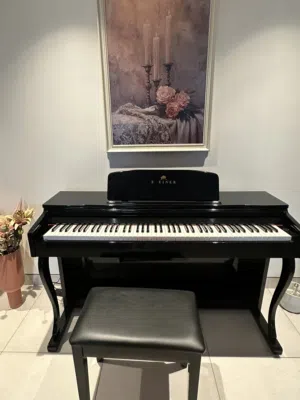 Steiner Digital Piano