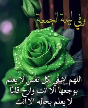 يوسف أبو جويعد 