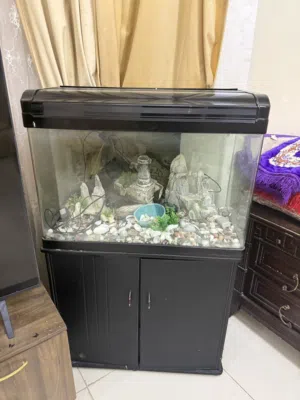 حوض كبير سمك
