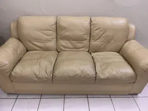 Leather Sofa set with center table, rug and two side tables