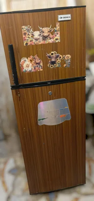 ثلاجة دنگا 10 قدم