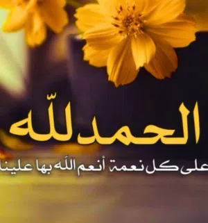 Yusuf Ali Almesry