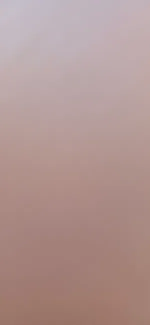 نريد كتاكيت لحامي للبيع