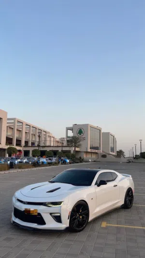 Used Chevrolet Camaro in Muscat