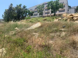 Land for Sale in Abey – 840 m2