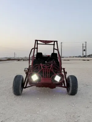 buggy fully restored