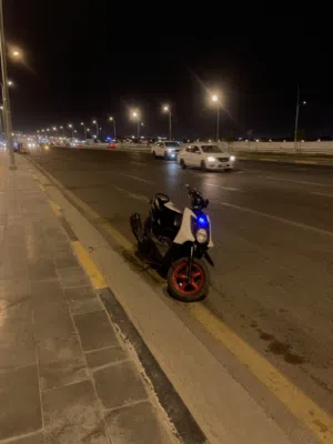 سكنس جبلي 2014