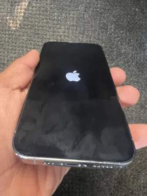 iPhone 13Pro