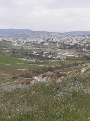 Farm Land for Sale in Jerash Other