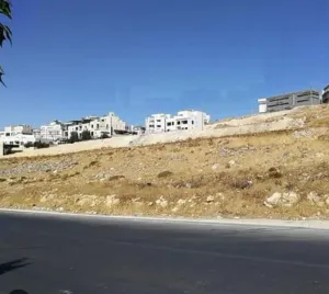 دونم أرض للبيع في الظهير ذو موقع مميز و مطل