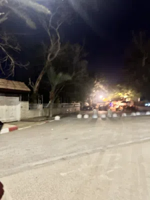 ملك محمد علي سلامة 