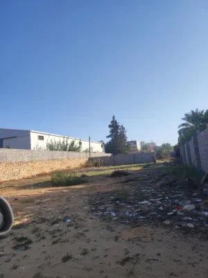 Commercial Land for Sale in Tripoli Ain Zara