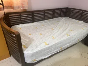 Day bed is with matress from home center