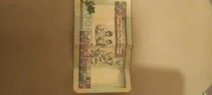 نص دينار كويتي